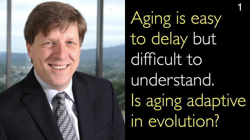 Aging is easy to delay but difficult to understand. Is aging adaptive in evolution? 1