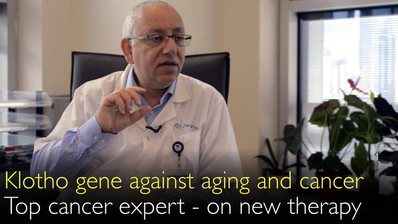 Das Klotho-Gen schützt vor Alterung und Krebs. 1